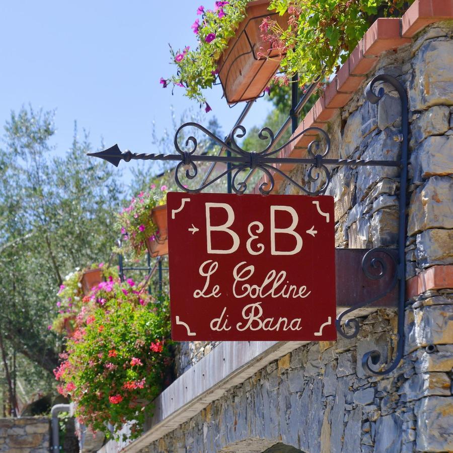 B&B Le Colline Di Bana คาโมยลี ภายนอก รูปภาพ
