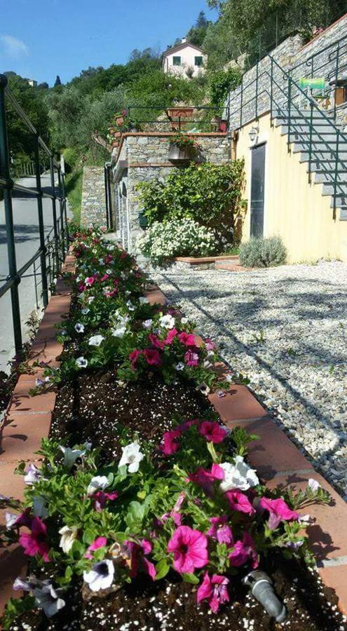 B&B Le Colline Di Bana คาโมยลี ภายนอก รูปภาพ