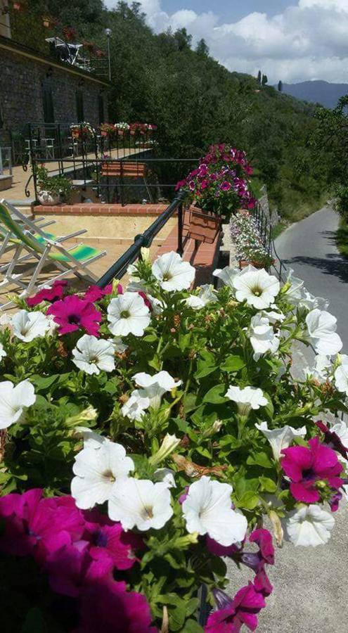 B&B Le Colline Di Bana คาโมยลี ภายนอก รูปภาพ