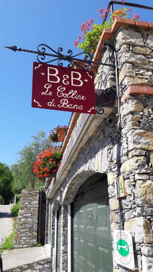 B&B Le Colline Di Bana คาโมยลี ภายนอก รูปภาพ