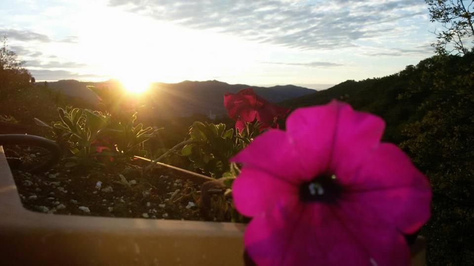 B&B Le Colline Di Bana คาโมยลี ภายนอก รูปภาพ