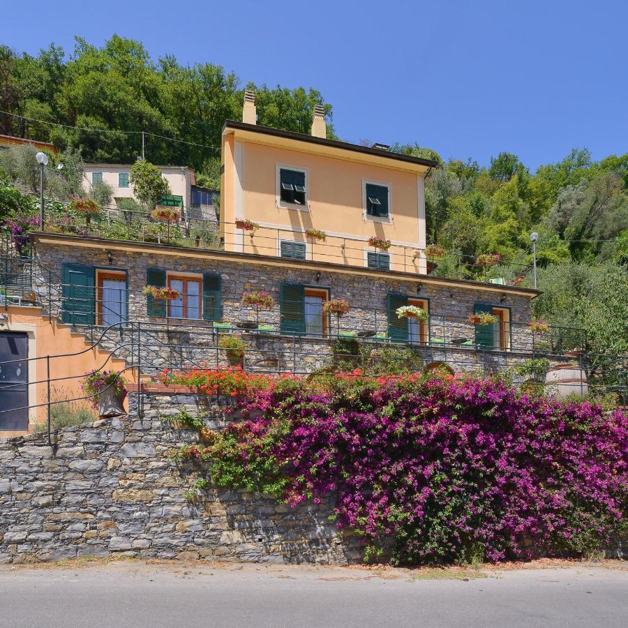 B&B Le Colline Di Bana คาโมยลี ภายนอก รูปภาพ