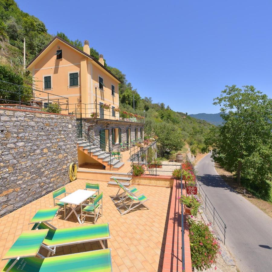 B&B Le Colline Di Bana คาโมยลี ภายนอก รูปภาพ