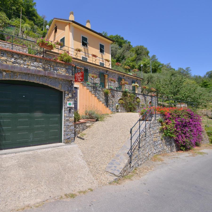 B&B Le Colline Di Bana คาโมยลี ภายนอก รูปภาพ