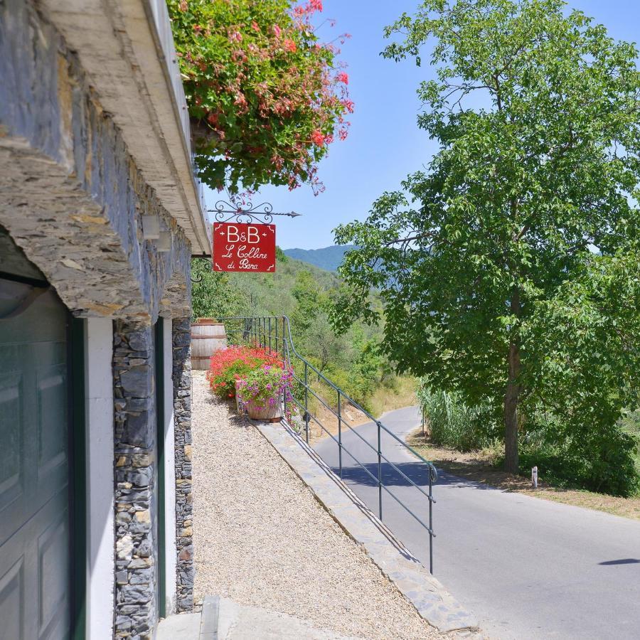 B&B Le Colline Di Bana คาโมยลี ภายนอก รูปภาพ